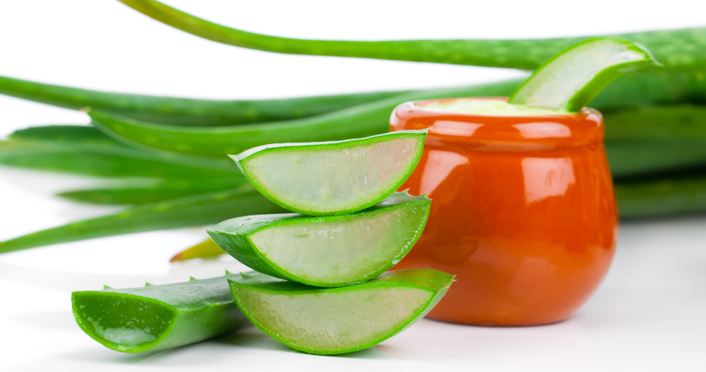 10 Amazing Health And Beauty Benefits Of Aloe Vera